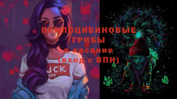 эйфоретик Алексин