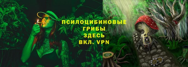 эйфоретик Алексин