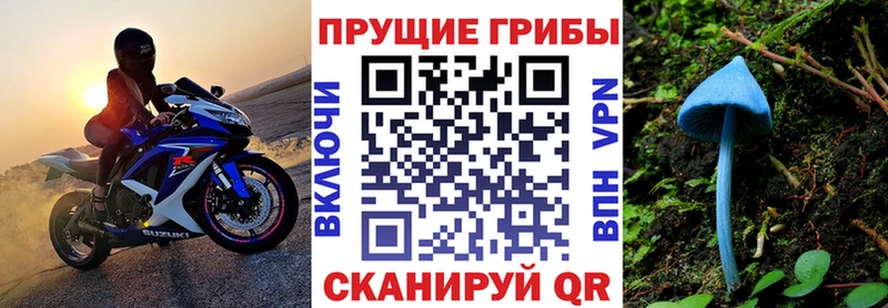 Галлюциногенные грибы Psilocybine cubensis  закладки  OMG как войти  Пушкино 